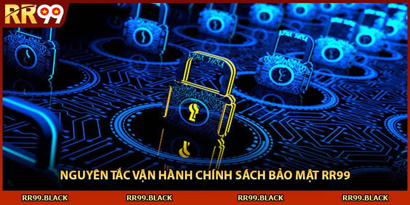 Nguyên tắc vận hành chính sách bảo mật RR99